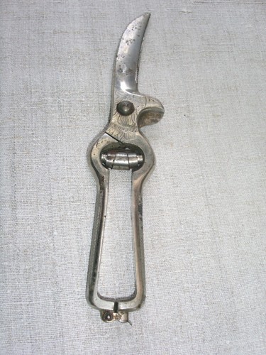 Alte adler geflügelschere - "adler",